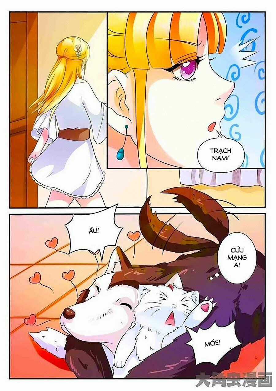 Mau Lấy Con Mèo Đó Ra Chapter 3 trang 1