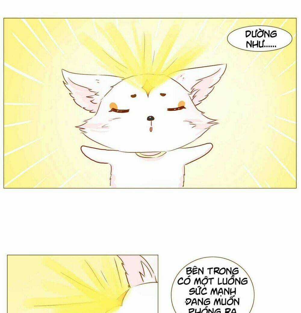 Mẫu Phi Đuôi Của Người Lộ Ra Rồi Kìa Chapter 51 trang 2