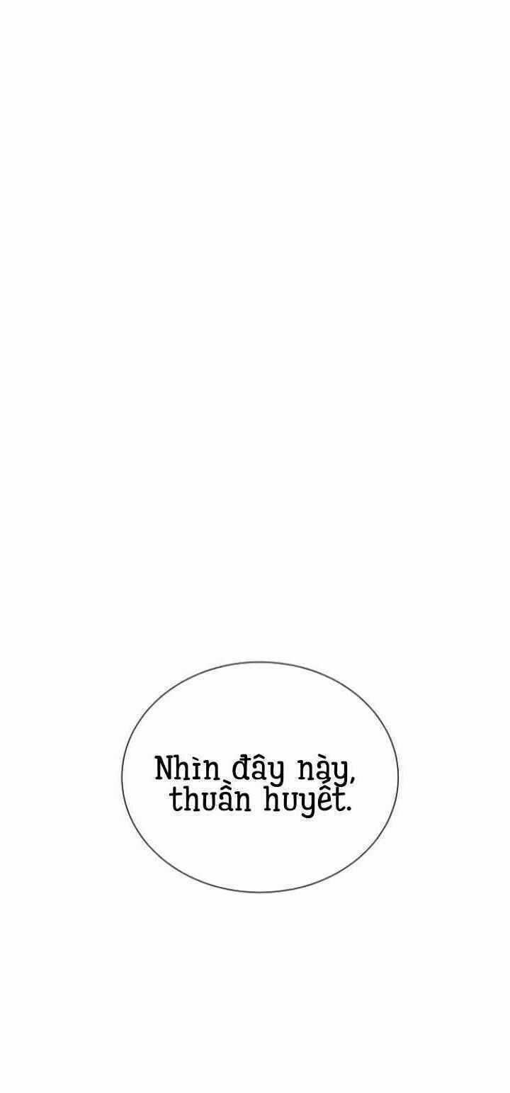 Máu Trắng Chapter 14 trang 84