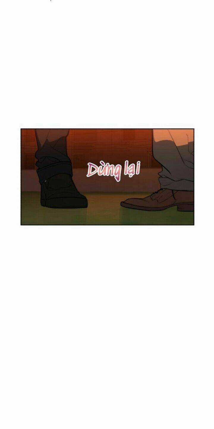 Máu Trắng Chapter 19 trang 8