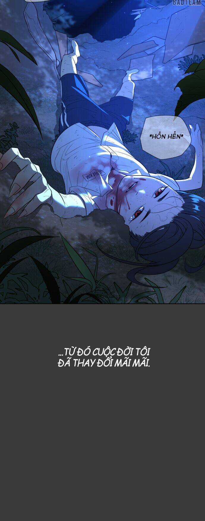 Máu Trắng Chapter 45 trang 71