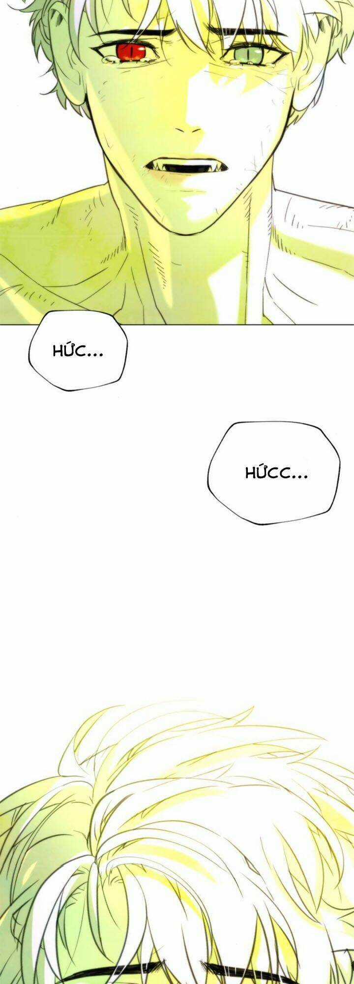 Máu Trắng Chapter 90 trang 71