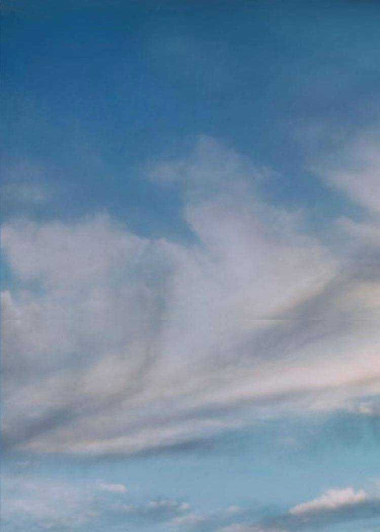 Máu Trắng Chapter 92 trang 133