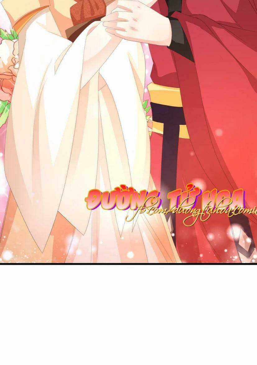 Mau Xuyên Hướng Dẫn Tự Cứu Vật Hi Sinh Nữ Phụ Chapter 10 trang 14