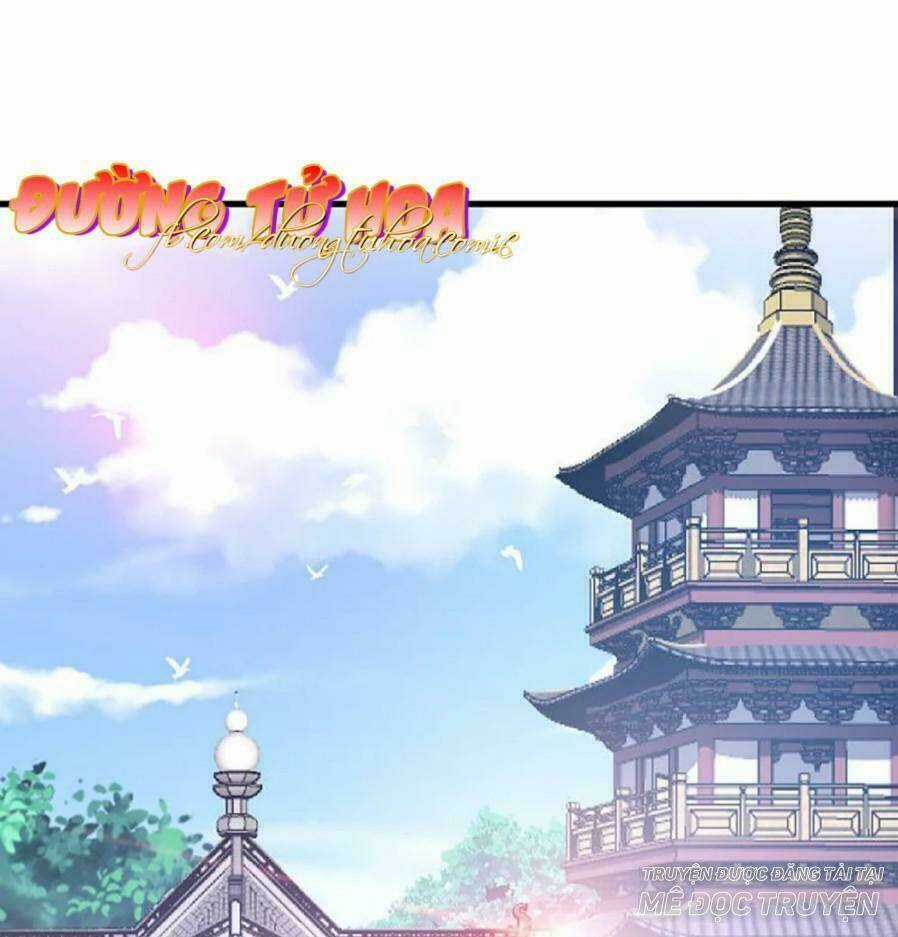 Mau Xuyên Hướng Dẫn Tự Cứu Vật Hi Sinh Nữ Phụ Chapter 11 trang 40