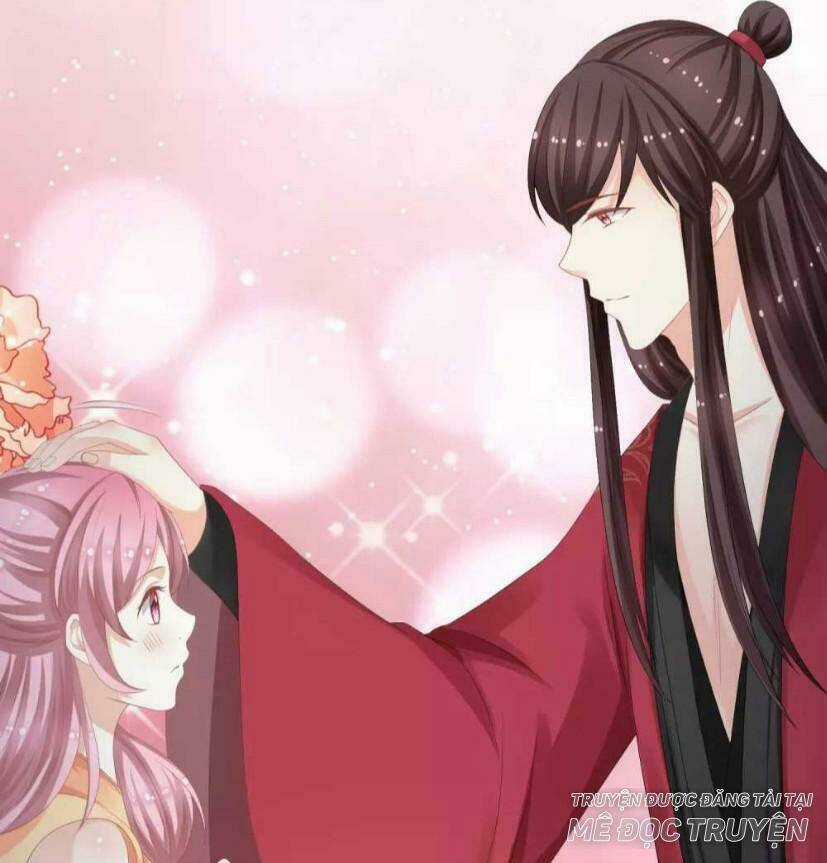 Mau Xuyên Hướng Dẫn Tự Cứu Vật Hi Sinh Nữ Phụ Chapter 12 trang 75