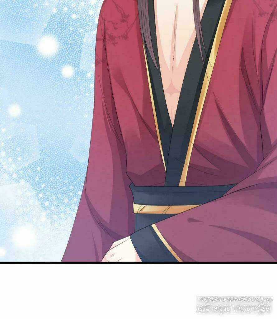 Mau Xuyên Hướng Dẫn Tự Cứu Vật Hi Sinh Nữ Phụ Chapter 13 trang 25