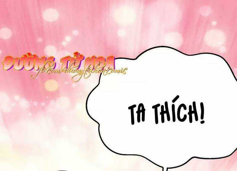 Mau Xuyên Hướng Dẫn Tự Cứu Vật Hi Sinh Nữ Phụ Chapter 2 trang 22