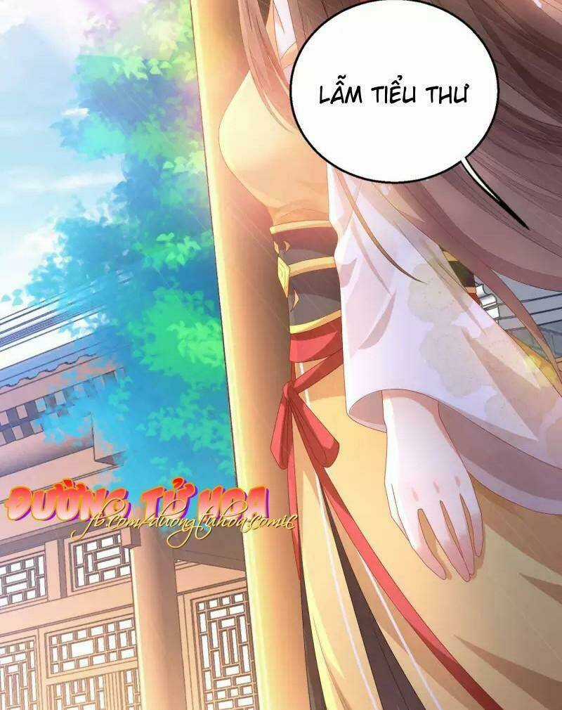 Mau Xuyên Hướng Dẫn Tự Cứu Vật Hi Sinh Nữ Phụ Chapter 2 trang 28