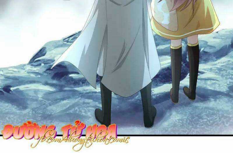 Mau Xuyên Hướng Dẫn Tự Cứu Vật Hi Sinh Nữ Phụ Chapter 3 trang 4