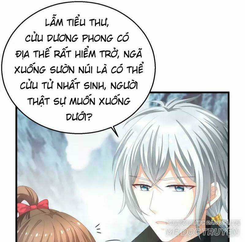 Mau Xuyên Hướng Dẫn Tự Cứu Vật Hi Sinh Nữ Phụ Chapter 3 trang 5