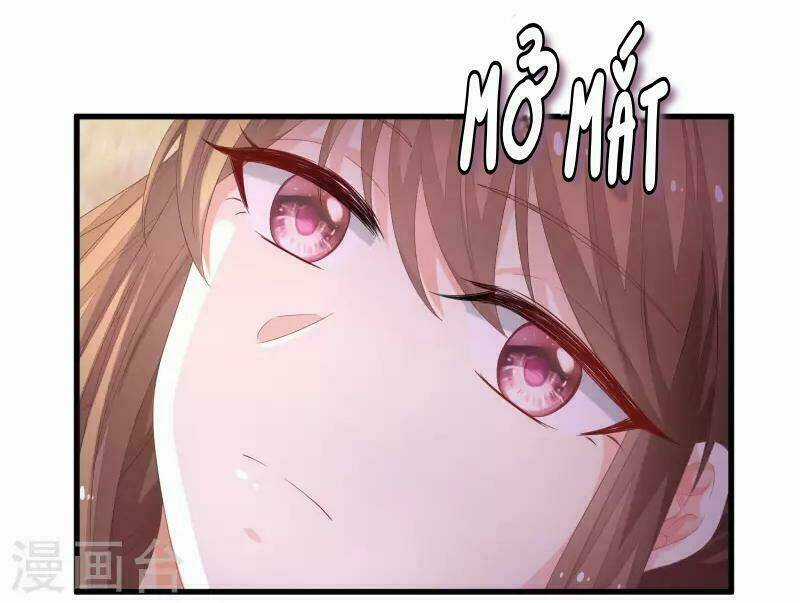 Mau Xuyên Hướng Dẫn Tự Cứu Vật Hi Sinh Nữ Phụ Chapter 3 trang 61