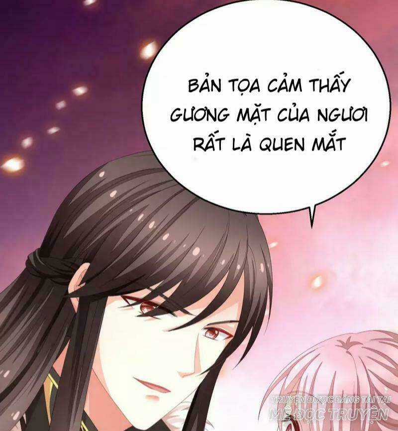 Mau Xuyên Hướng Dẫn Tự Cứu Vật Hi Sinh Nữ Phụ Chapter 4 trang 15