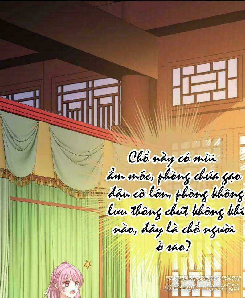 Mau Xuyên Hướng Dẫn Tự Cứu Vật Hi Sinh Nữ Phụ Chapter 4 trang 50