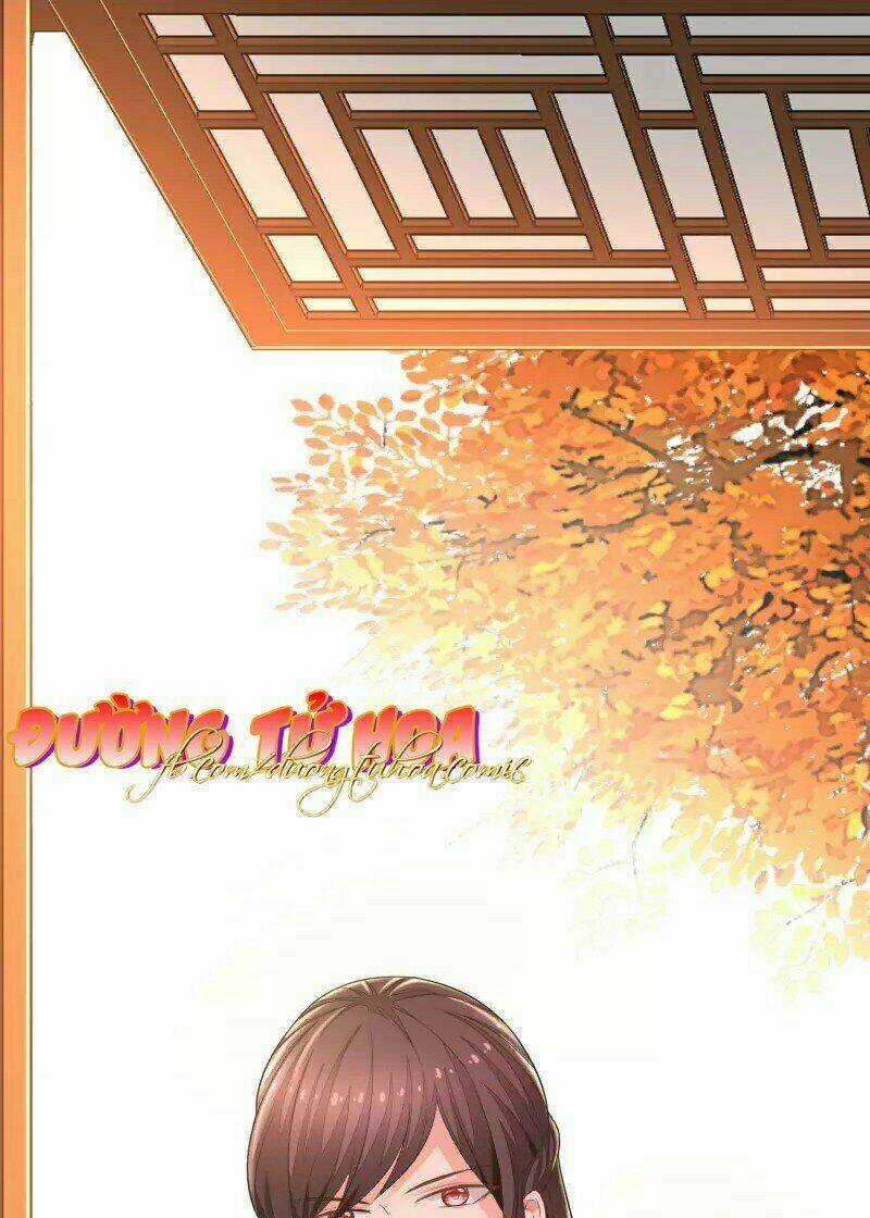 Mau Xuyên Hướng Dẫn Tự Cứu Vật Hi Sinh Nữ Phụ Chapter 5 trang 14