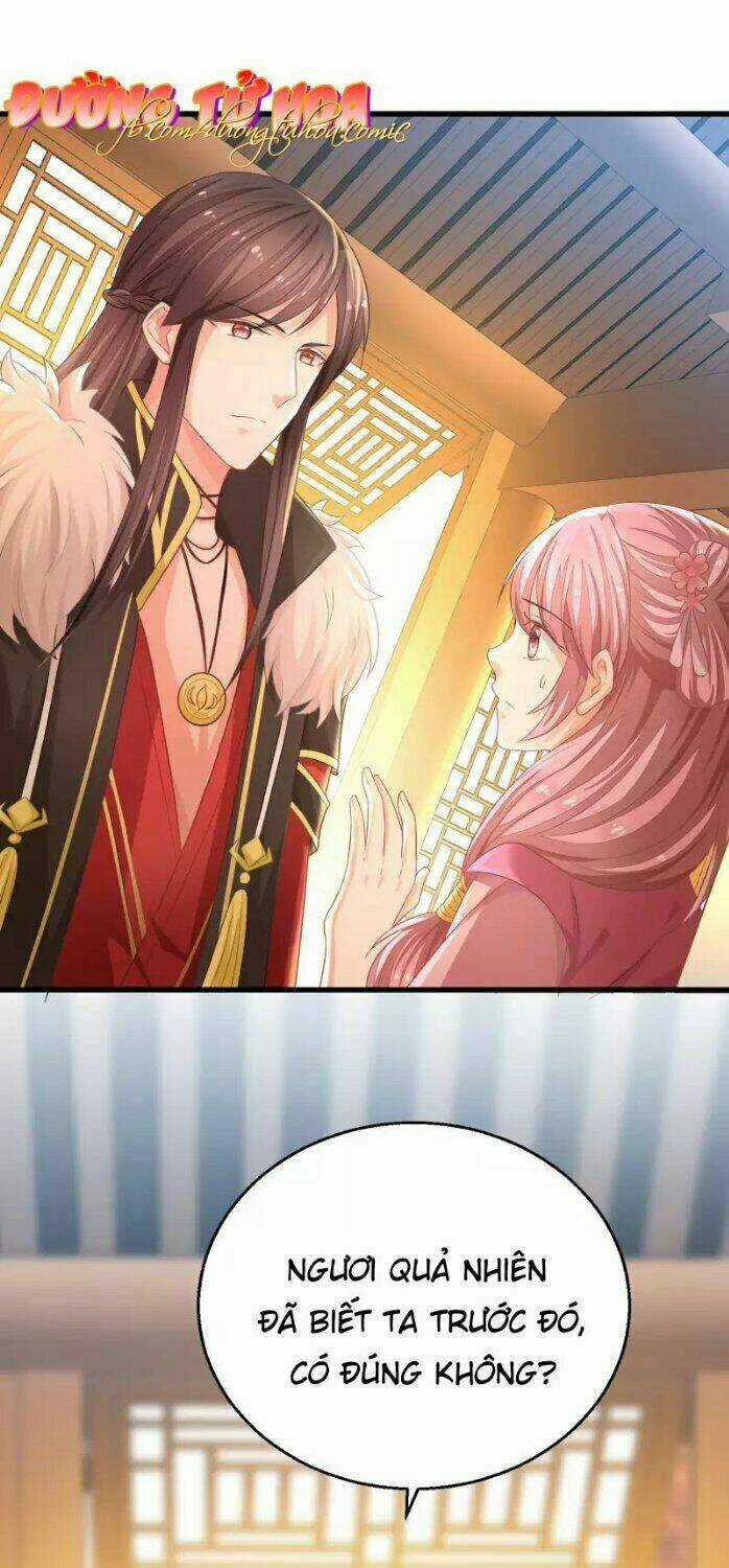 Mau Xuyên Hướng Dẫn Tự Cứu Vật Hi Sinh Nữ Phụ Chapter 5 trang 20