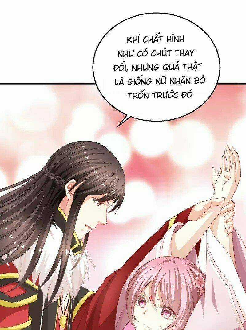 Mau Xuyên Hướng Dẫn Tự Cứu Vật Hi Sinh Nữ Phụ Chapter 5 trang 42