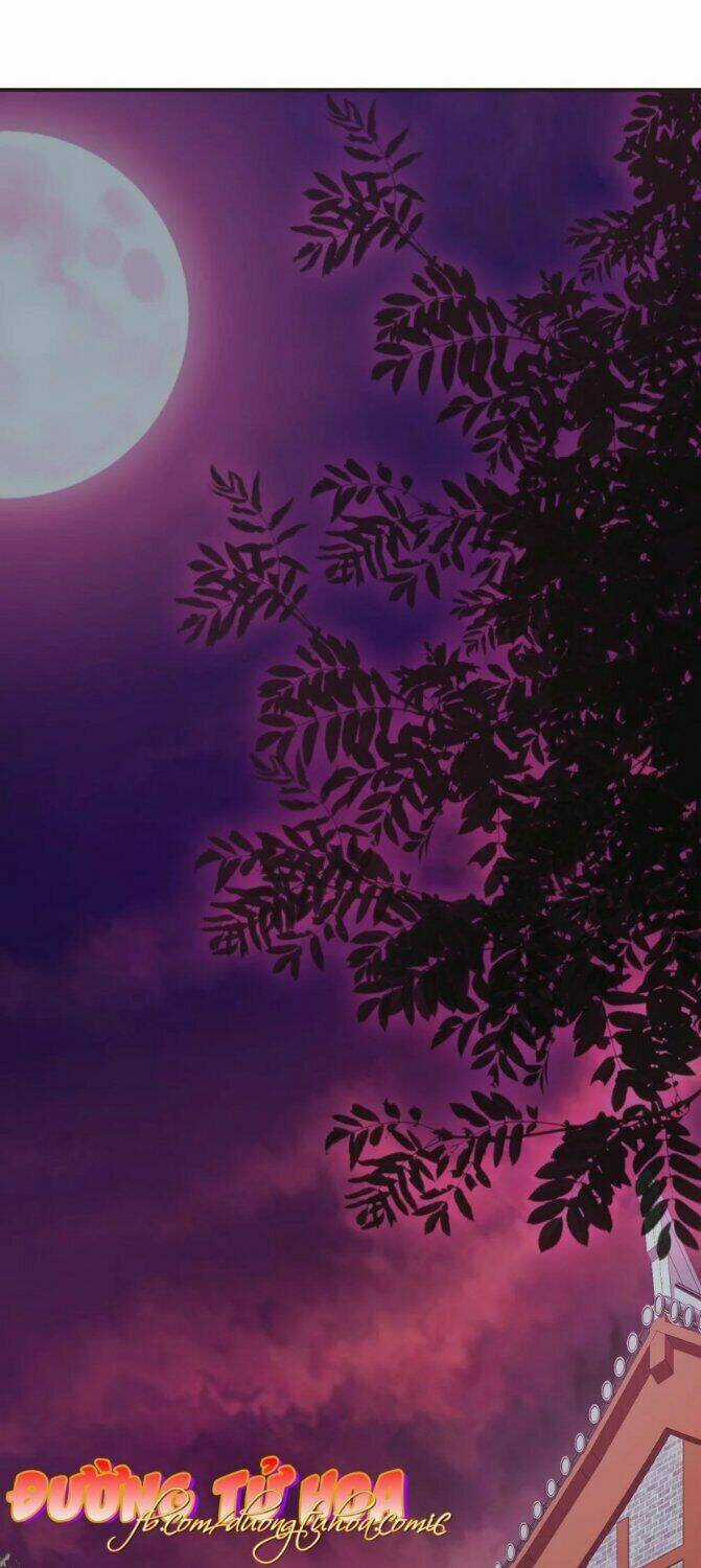 Mau Xuyên Hướng Dẫn Tự Cứu Vật Hi Sinh Nữ Phụ Chapter 6 trang 25