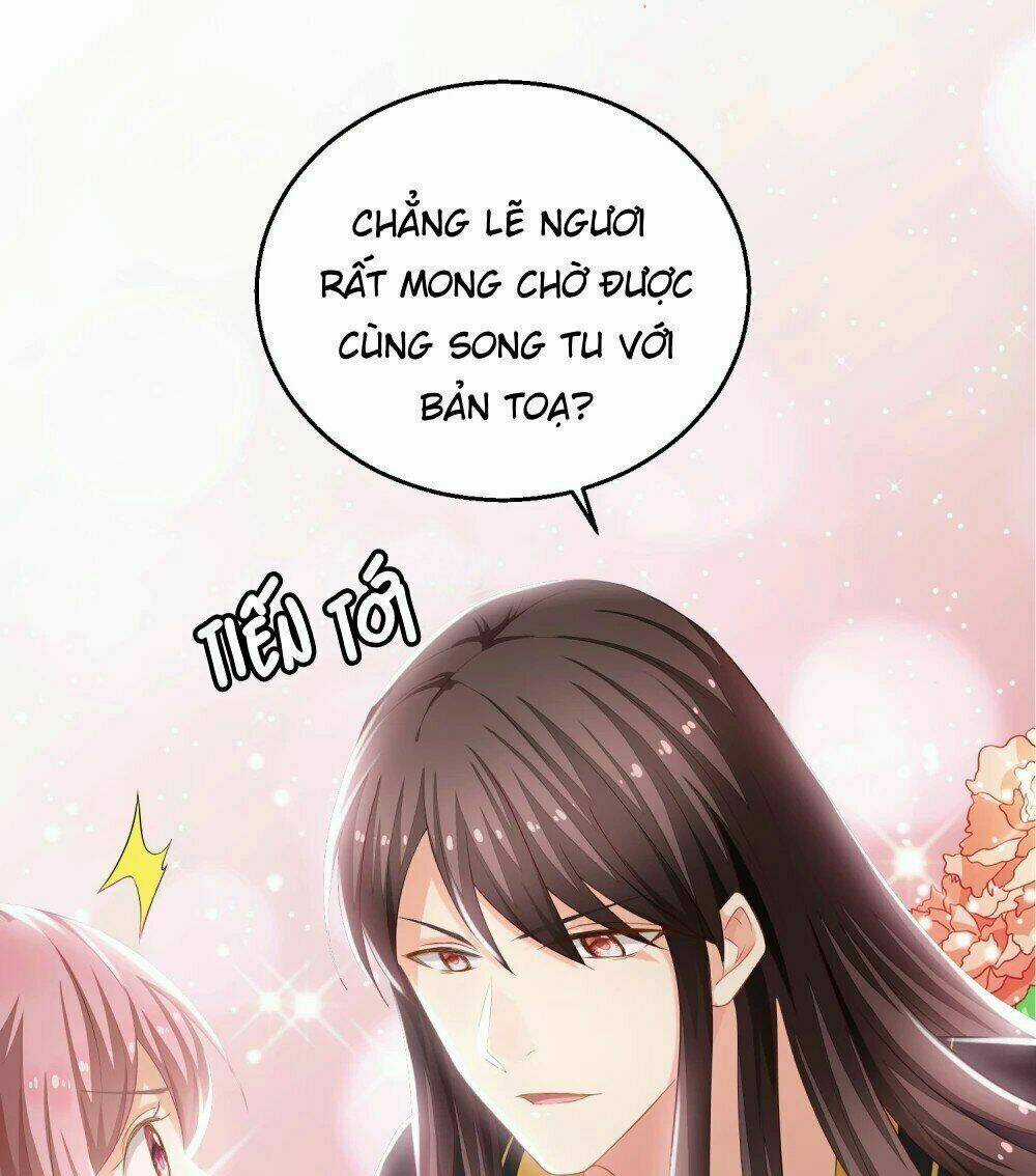 Mau Xuyên Hướng Dẫn Tự Cứu Vật Hi Sinh Nữ Phụ Chapter 7 trang 3