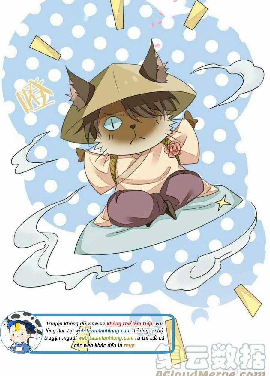 Mau Xuyên Không Rửa Tội Cho Nhân Vật Phản Diện Chapter 105 trang 12