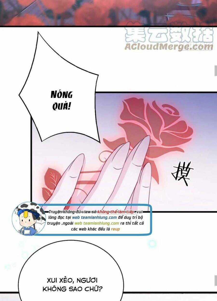 Mau Xuyên Không Rửa Tội Cho Nhân Vật Phản Diện Chapter 105 trang 35