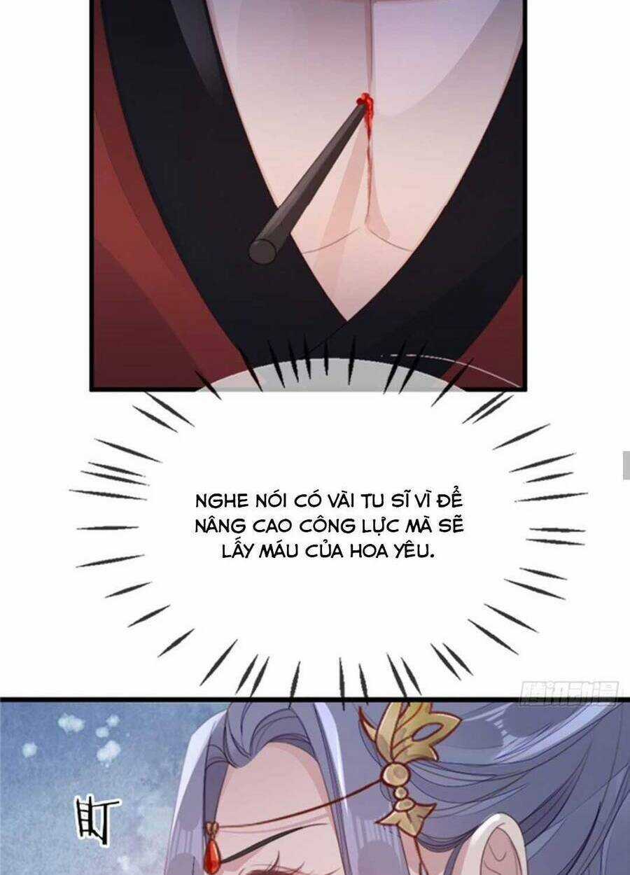 Mau Xuyên Không Rửa Tội Cho Nhân Vật Phản Diện Chapter 106 trang 34