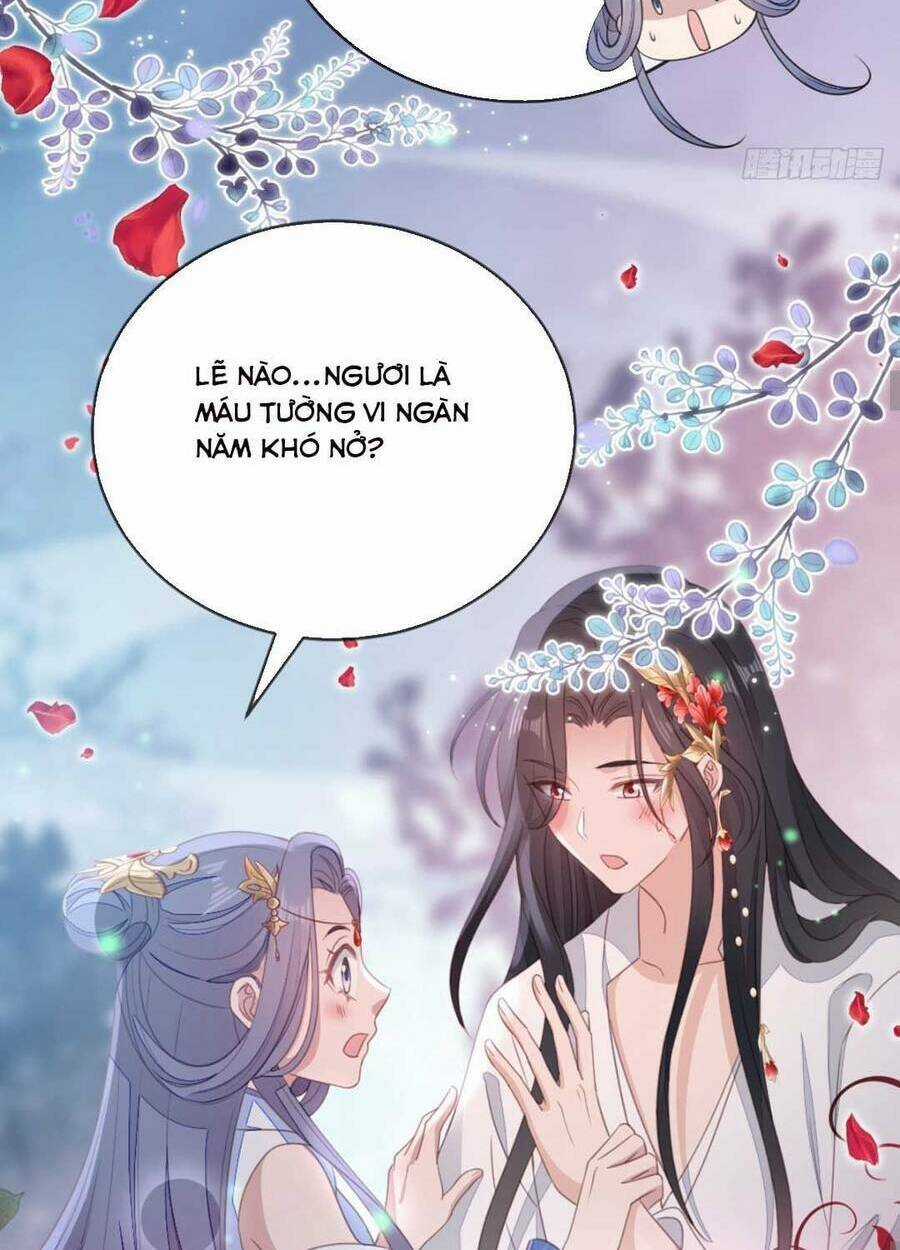 Mau Xuyên Không Rửa Tội Cho Nhân Vật Phản Diện Chapter 107 trang 26