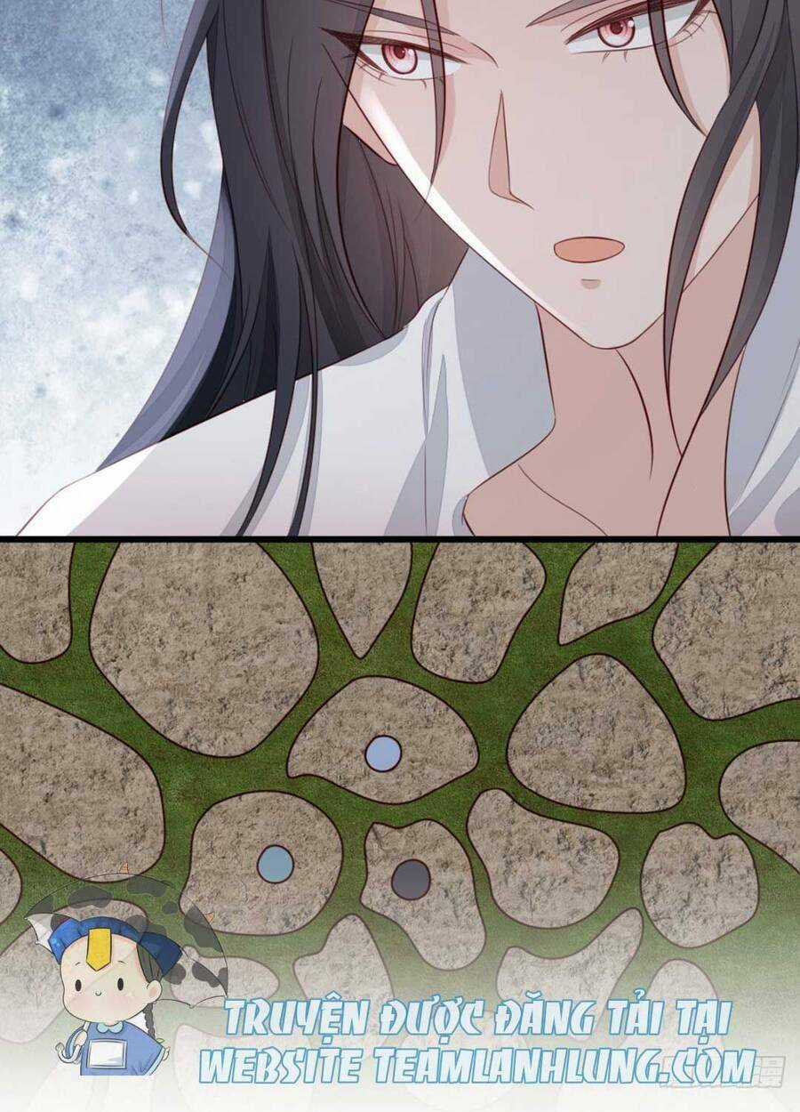 Mau Xuyên Không Rửa Tội Cho Nhân Vật Phản Diện Chapter 112 trang 9