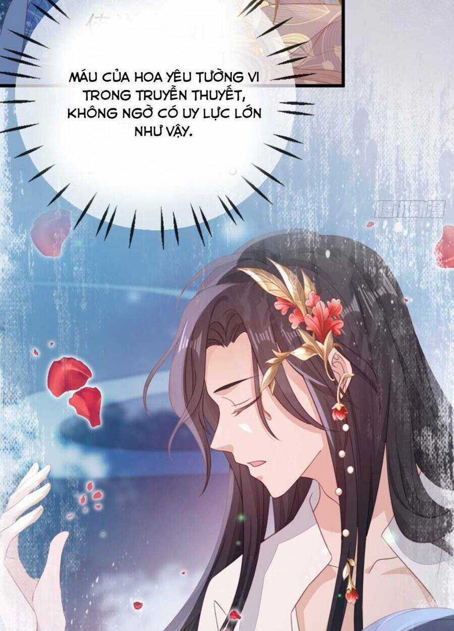 Mau Xuyên Không Rửa Tội Cho Nhân Vật Phản Diện Chapter 113 trang 7