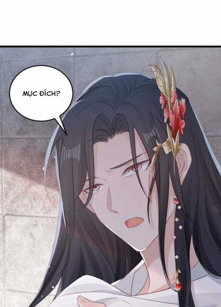 Mau Xuyên Không Rửa Tội Cho Nhân Vật Phản Diện Chapter 114 trang 19