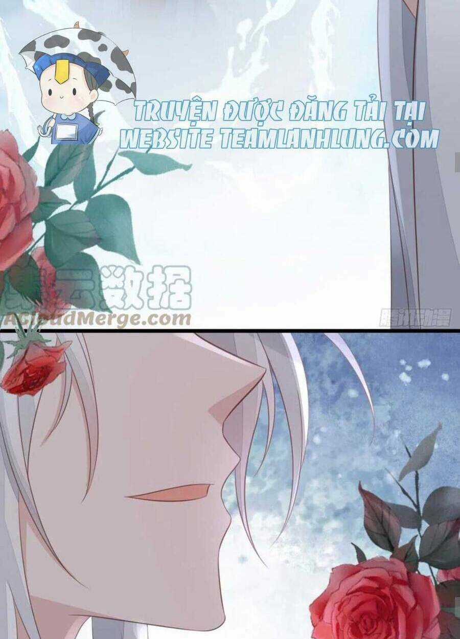 Mau Xuyên Không Rửa Tội Cho Nhân Vật Phản Diện Chapter 117 trang 33