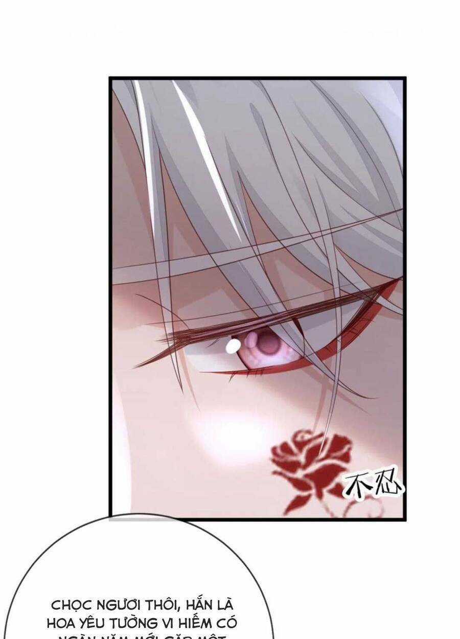 Mau Xuyên Không Rửa Tội Cho Nhân Vật Phản Diện Chapter 119 trang 42