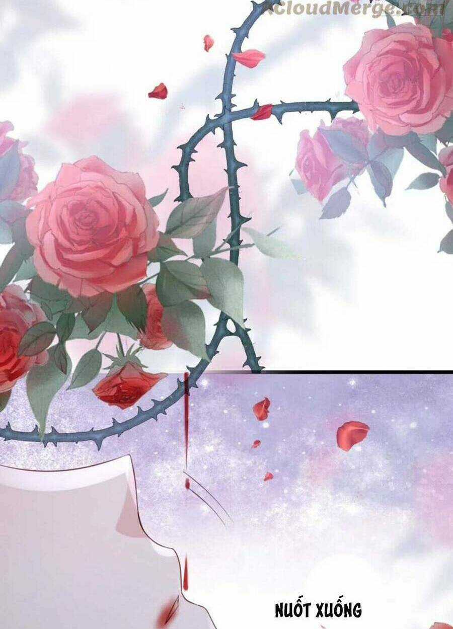 Mau Xuyên Không Rửa Tội Cho Nhân Vật Phản Diện Chapter 121 trang 48