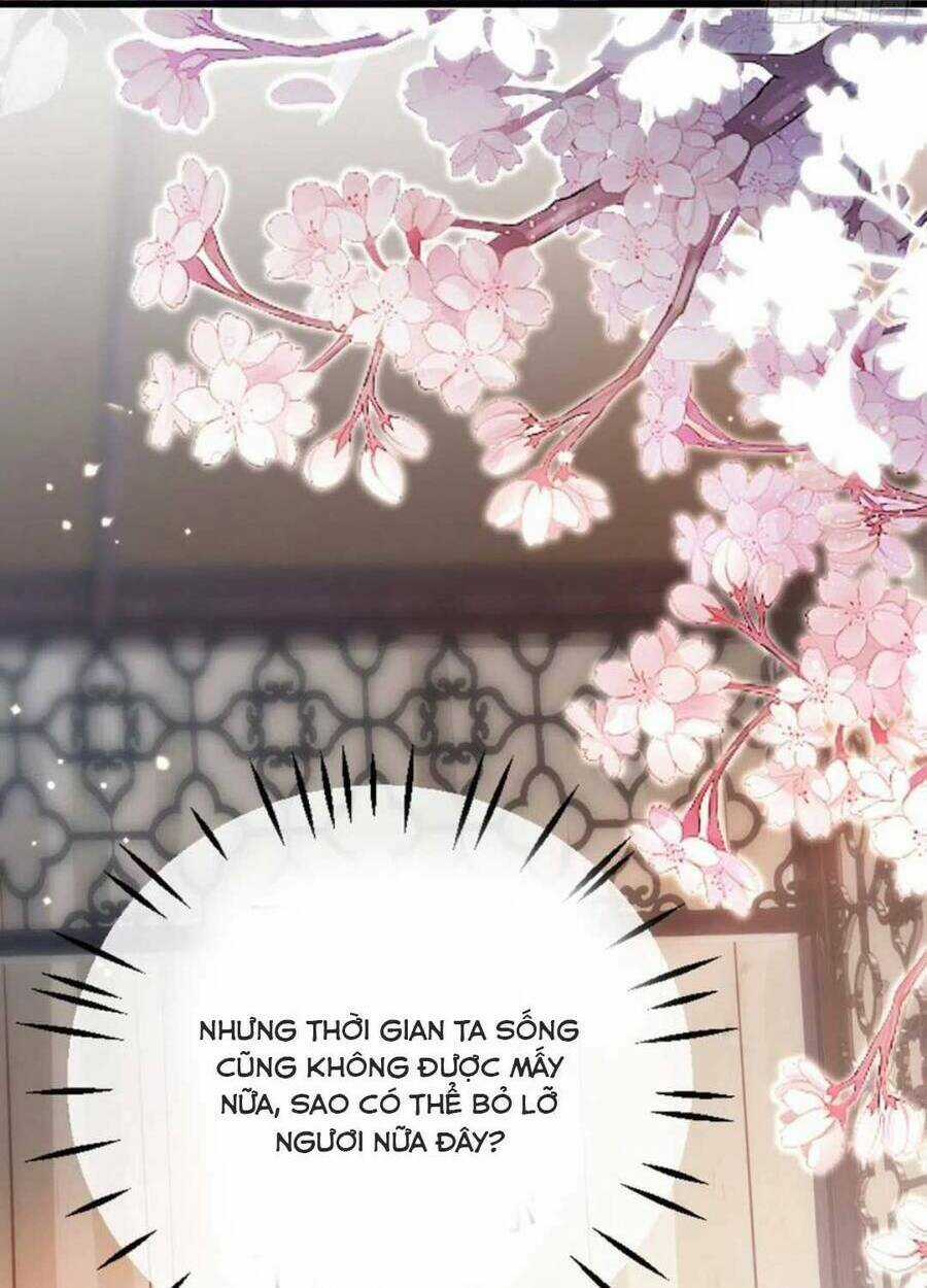 Mau Xuyên Không Rửa Tội Cho Nhân Vật Phản Diện Chapter 122 trang 16