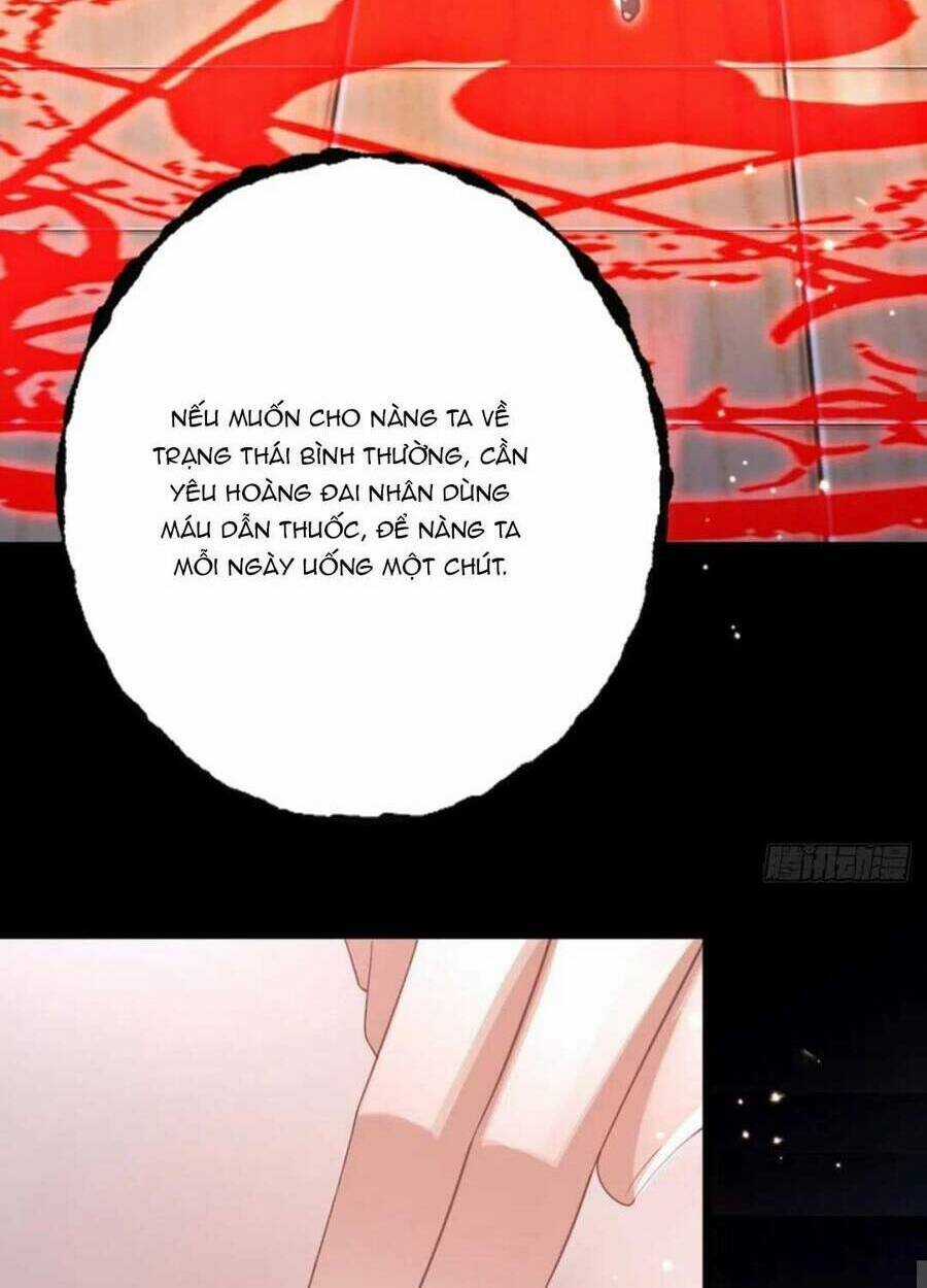 Mau Xuyên Không Rửa Tội Cho Nhân Vật Phản Diện Chapter 124 trang 53