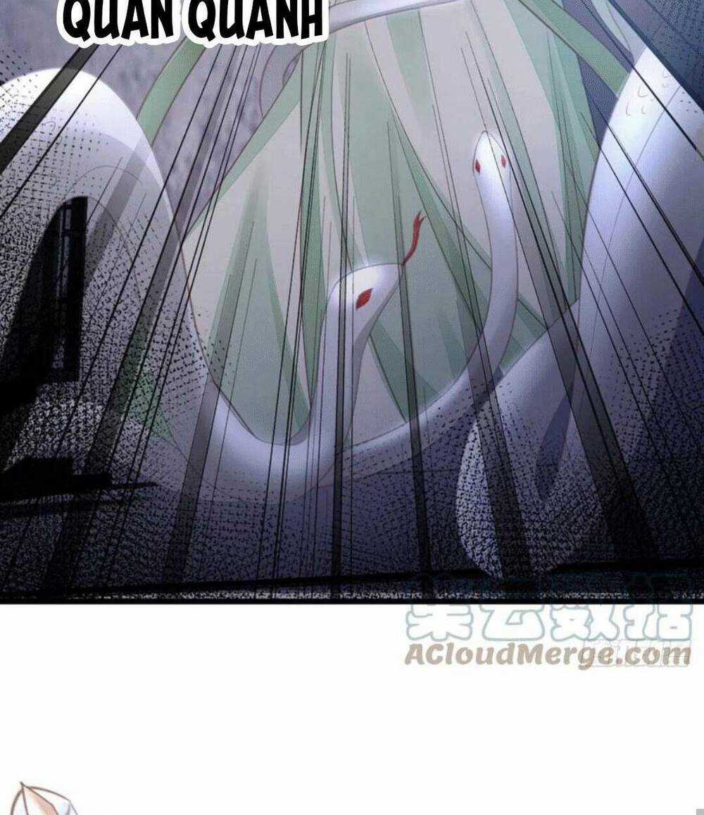 Mau Xuyên Không Rửa Tội Cho Nhân Vật Phản Diện Chapter 125 trang 35