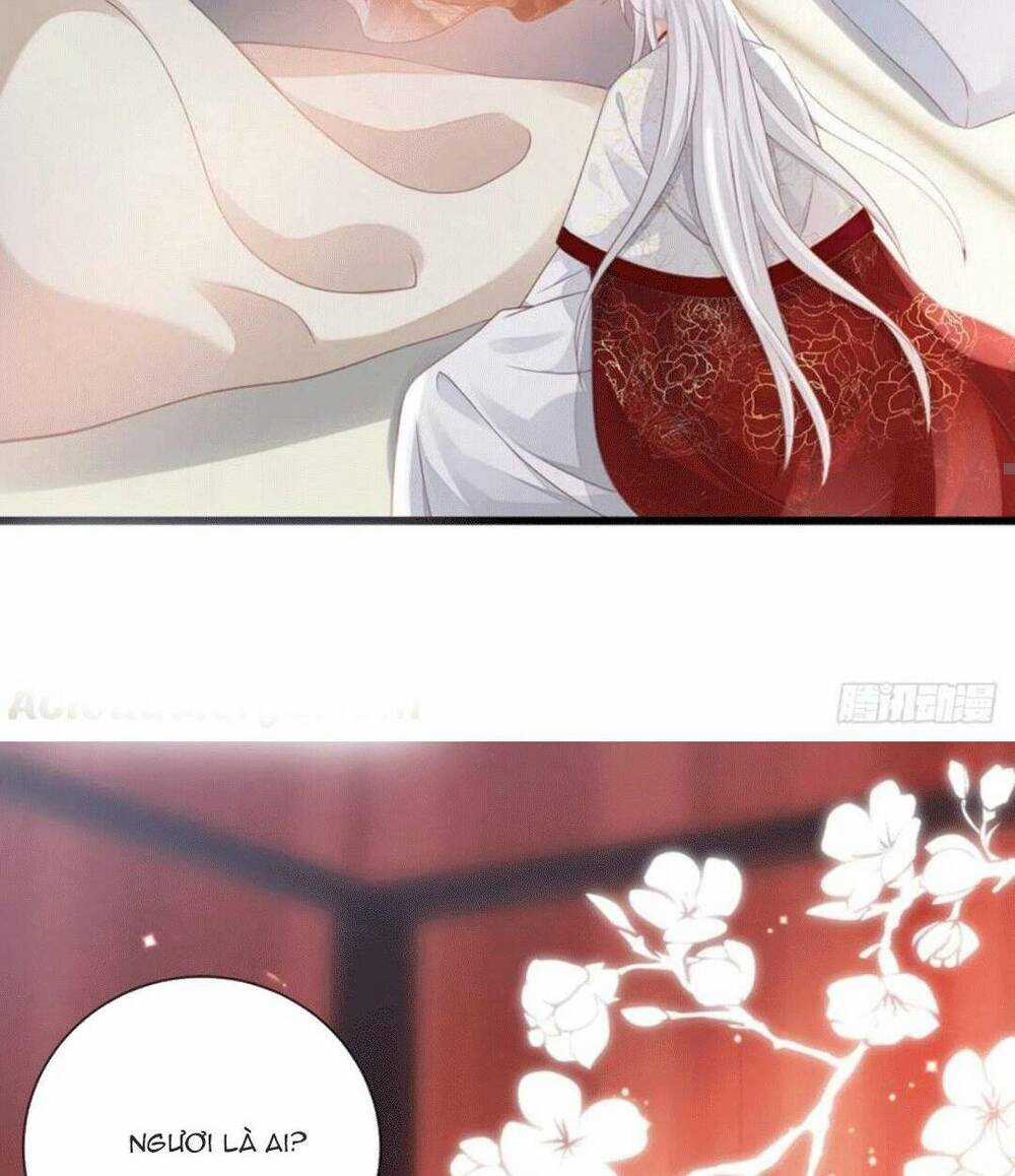 Mau Xuyên Không Rửa Tội Cho Nhân Vật Phản Diện Chapter 125 trang 59