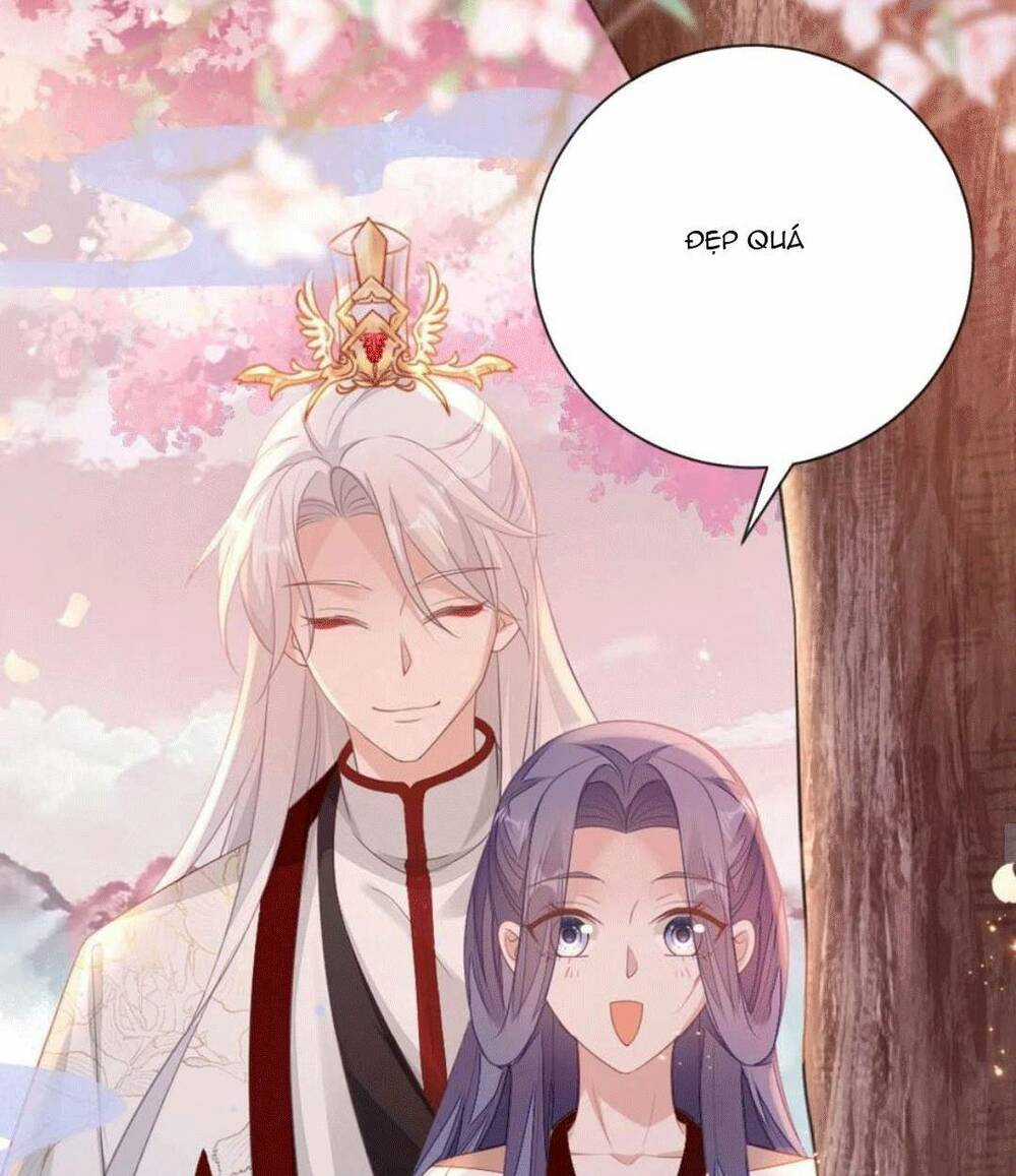 Mau Xuyên Không Rửa Tội Cho Nhân Vật Phản Diện Chapter 126 trang 62