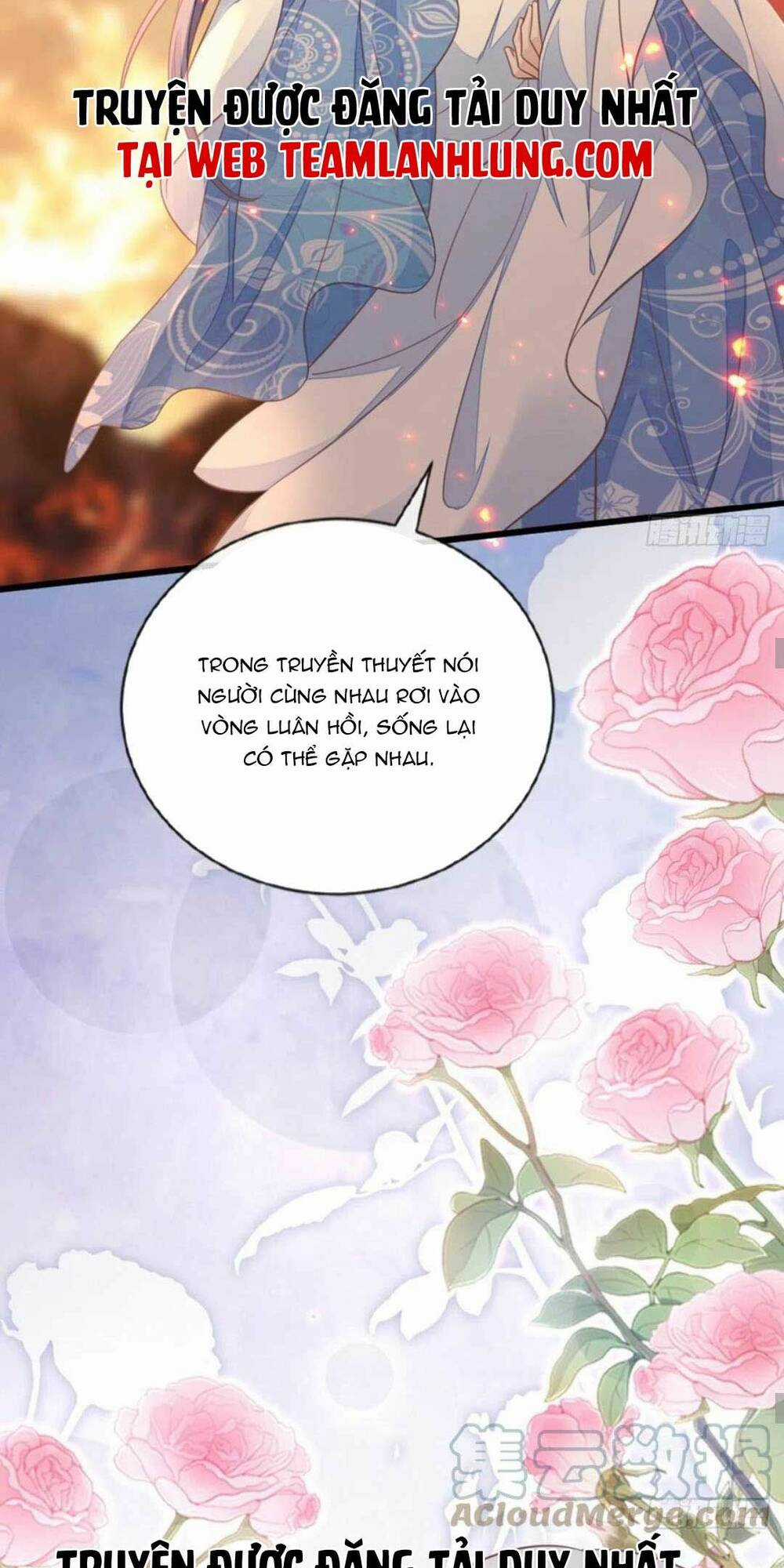 Mau Xuyên Không Rửa Tội Cho Nhân Vật Phản Diện Chapter 132 trang 23