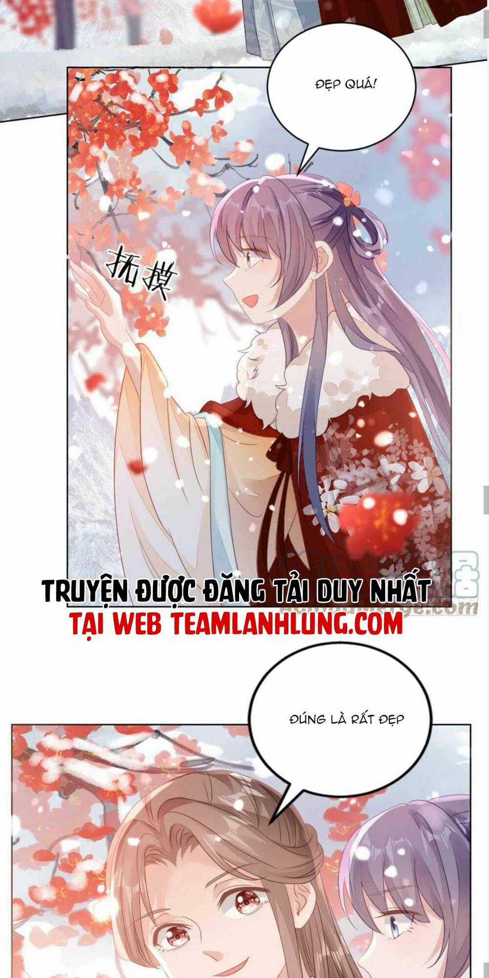 Mau Xuyên Không Rửa Tội Cho Nhân Vật Phản Diện Chapter 136 trang 15