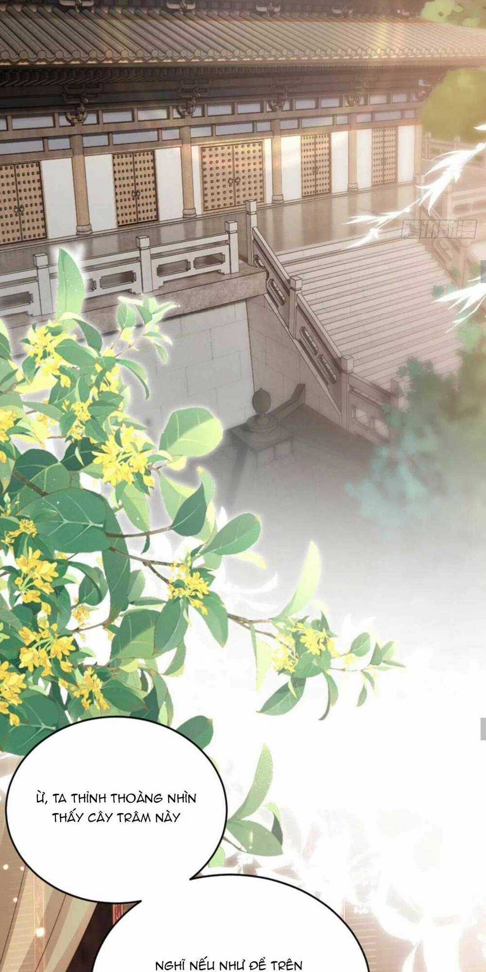 Mau Xuyên Không Rửa Tội Cho Nhân Vật Phản Diện Chapter 139 trang 33