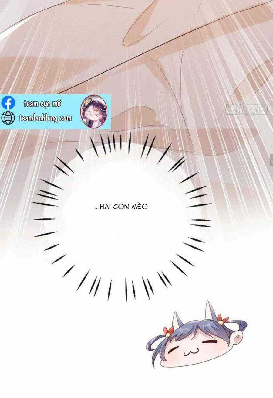 Mau Xuyên Không Rửa Tội Cho Nhân Vật Phản Diện Chapter 143 trang 42