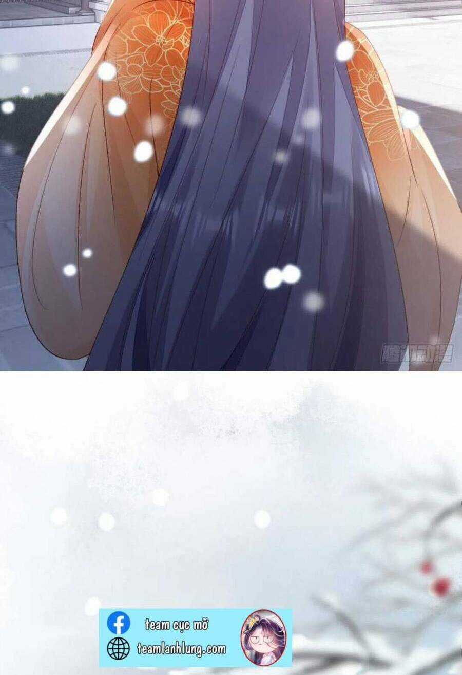 Mau Xuyên Không Rửa Tội Cho Nhân Vật Phản Diện Chapter 145 trang 60