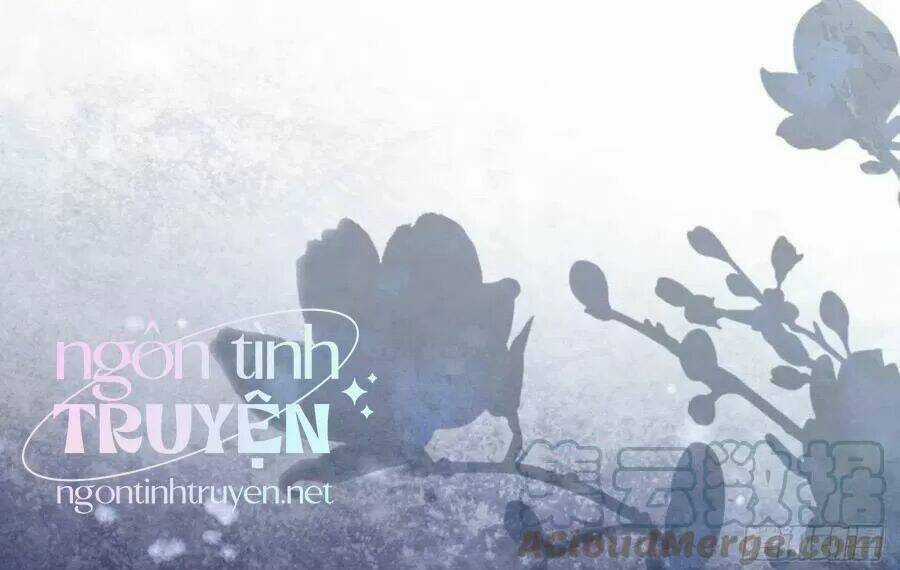 Mau Xuyên Không Rửa Tội Cho Nhân Vật Phản Diện Chapter 23 trang 29