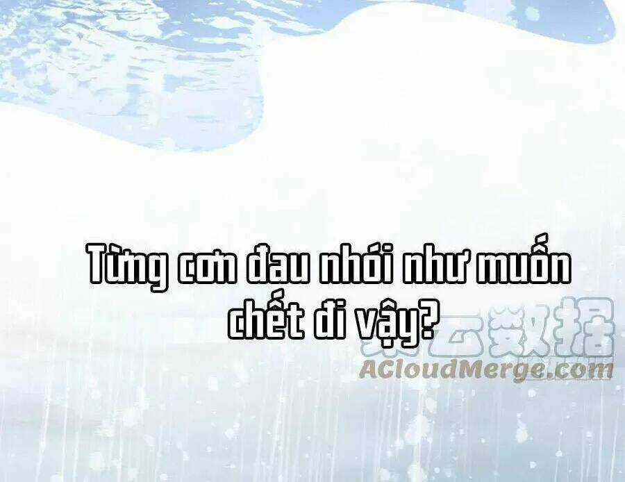 Mau Xuyên Không Rửa Tội Cho Nhân Vật Phản Diện Chapter 23 trang 45