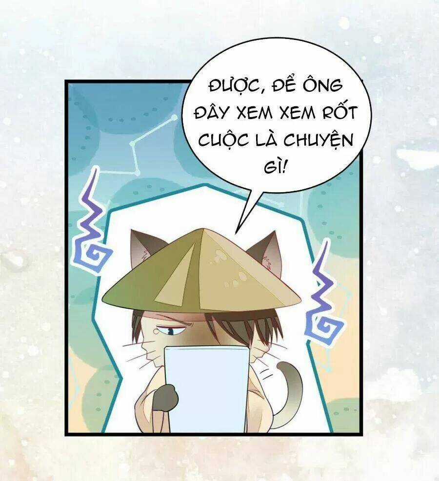 Mau Xuyên Không Rửa Tội Cho Nhân Vật Phản Diện Chapter 23 trang 52