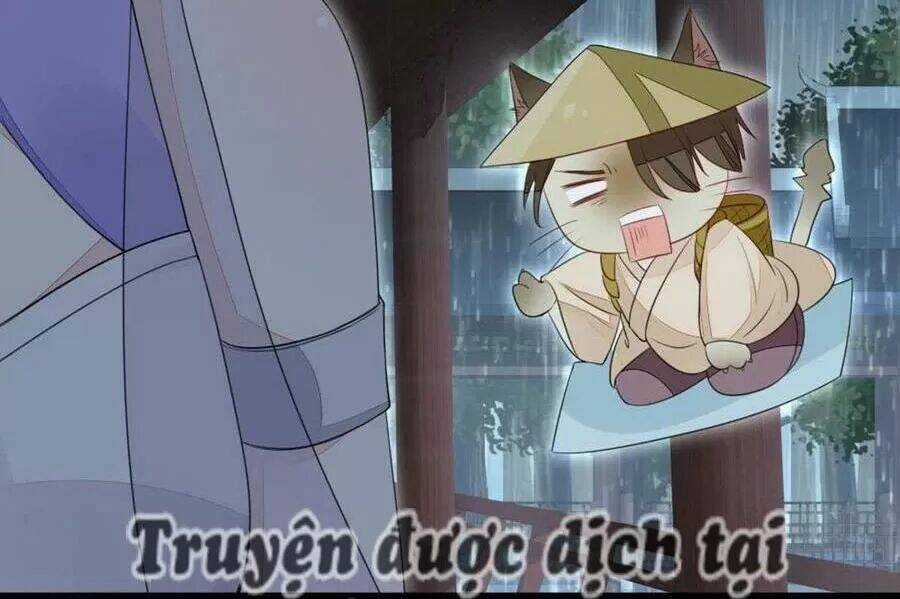 Mau Xuyên Không Rửa Tội Cho Nhân Vật Phản Diện Chapter 24 trang 12