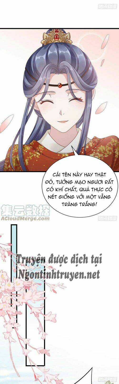 Mau Xuyên Không Rửa Tội Cho Nhân Vật Phản Diện Chapter 34 trang 16