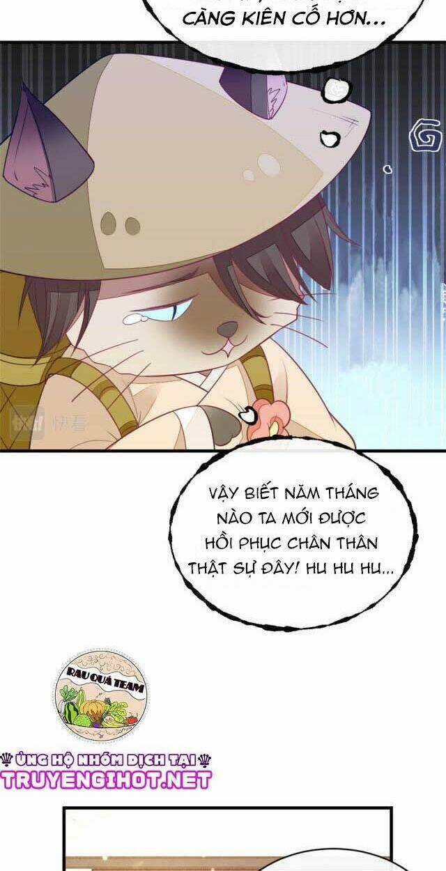 Mau Xuyên Không Rửa Tội Cho Nhân Vật Phản Diện Chapter 5 trang 3