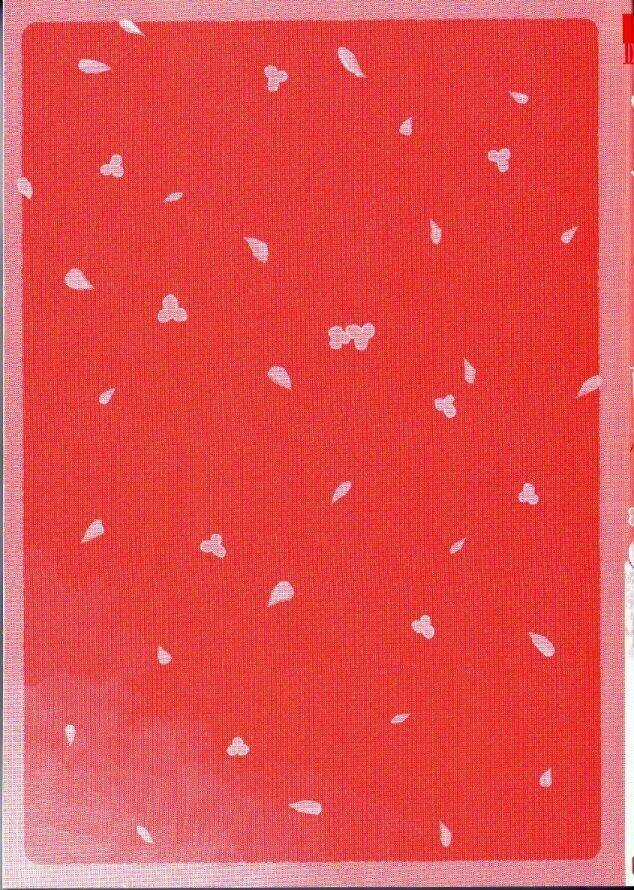 Mauri To Ryuu Chapter 1 trang 3